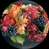 hauteflorals